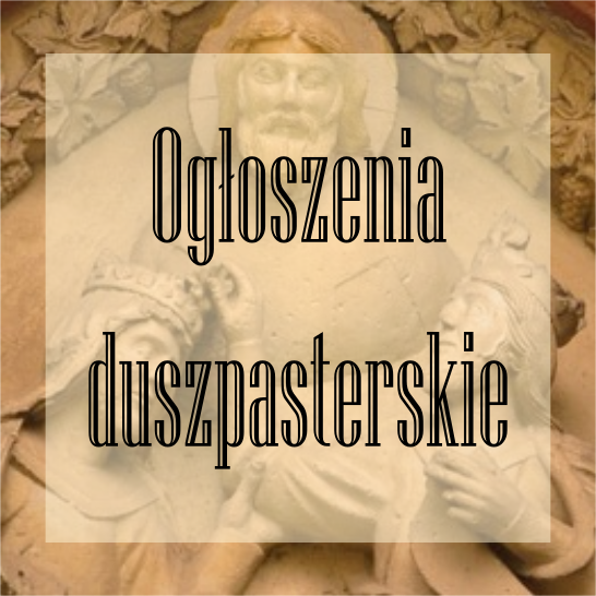 ogloszenia
